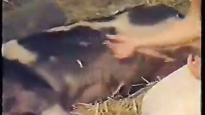 Old video Sex with pig