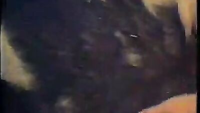 Old video Sex with pig