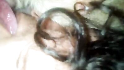 Licking a dog pussy