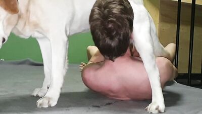Man blowjob dog cock