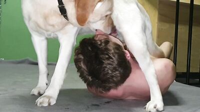 Man blowjob dog cock
