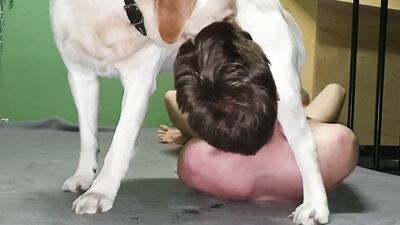 Man blowjob dog cock