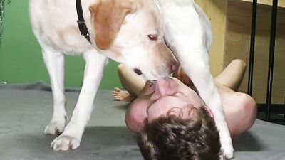 Man blowjob dog cock