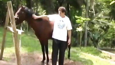 Man fucked by horse