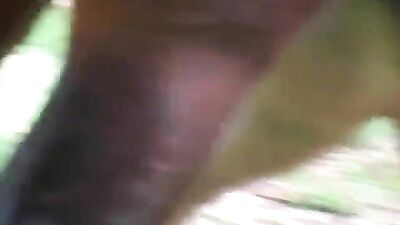 Man fucked by horse