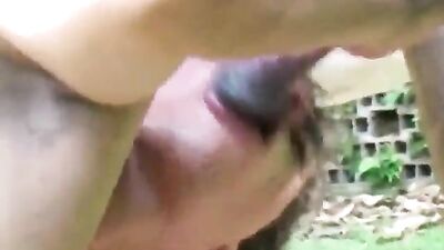 Man fucked by horse