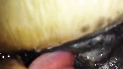 Licking mares pussy