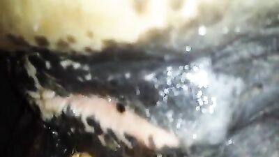 Licking mares pussy