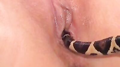 Milf and snake - BilfHunter