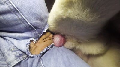 knotted by my dog