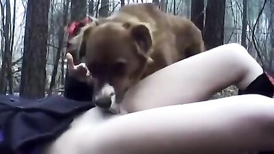 Girl has sex in the woods with the dog
