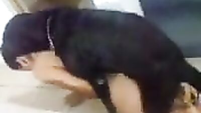 Horny with pet