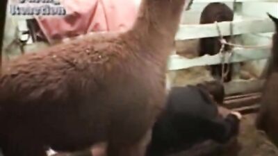 Farm sex slow motion