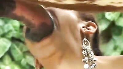 Sucking a big horse cock