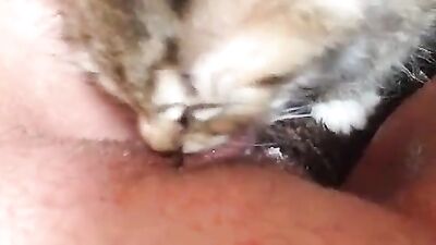 Cat licking my big clit