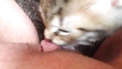 Cat licking my big clit