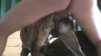 Cum in my dog ass