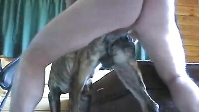 Cum in my dog ass