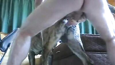 Cum in my dog ass