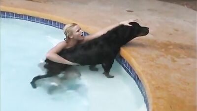 Caledonian Pool Dog