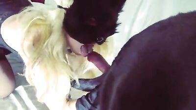 Cachorra