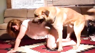 Celebrating Christmas with the animal