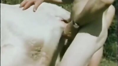 Color Climax animal mix extras