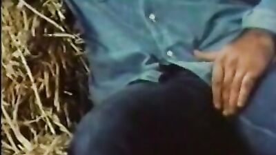 Denise Dior kissing horse cock