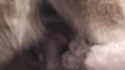 Caledonian Sabrinas First Time dogsex