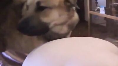 Caledonian Sabrinas First Time dogsex