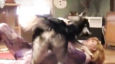 Caledonian Playing with Dakota