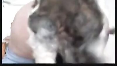 Caledonian Zen In Afghan fucked by dog