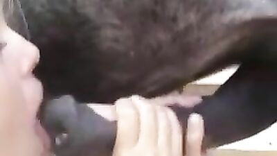 Sizzling Babes Ride Big Horses Hard, Swallow Thick Cock