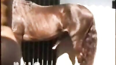 Angels Horsey Threesome Delight