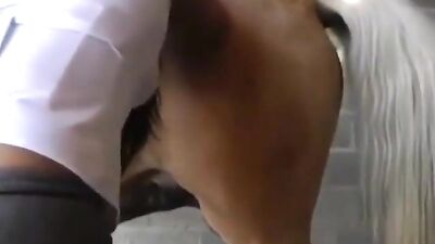 Sleazy Strays Suck & Swallow Horse Cum