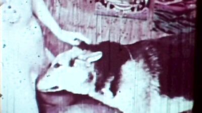 Vintage Dog Sex