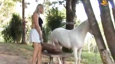 Balkan Bizarre - Family Secrets Exposed