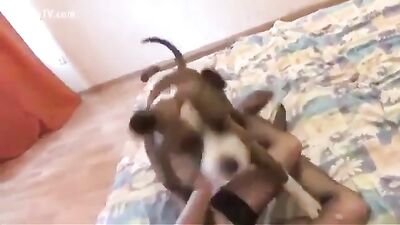 Russian girl takes dog in the ass