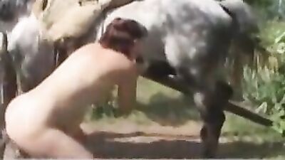 Pregnant Real Horse Fucker