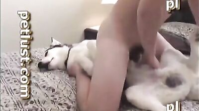 Petlust Docking Sequence
