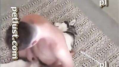 Petlust Docking Sequence