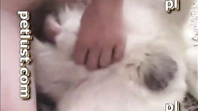 Petlust Docking Sequence