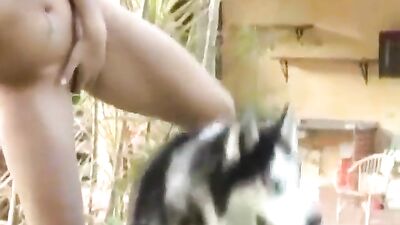 Outdoor Animal Sex Orgy