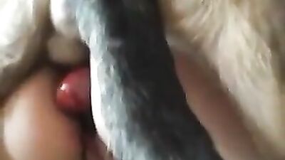Mexzoo Natalia and Dog Brutal5