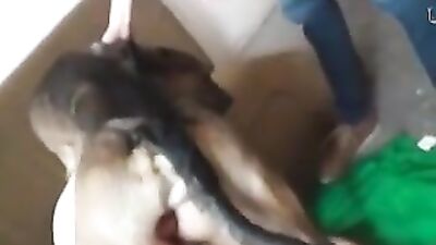 Mexzoo Natalia and Dog Brutal5