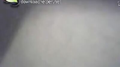 misionary sex with small dog