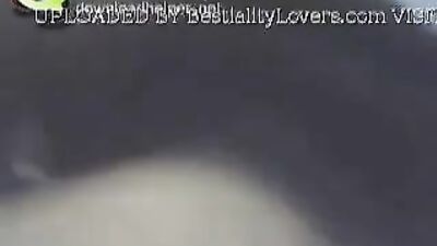 misionary sex with small dog