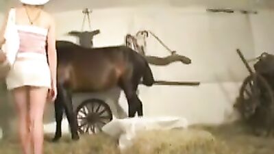 Mr.Dog - Anna and the horse