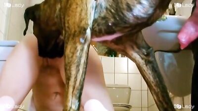 K9Lady Samy in the Shower