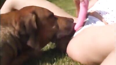 K9 Dolls - Zaina - Redhot Marathon